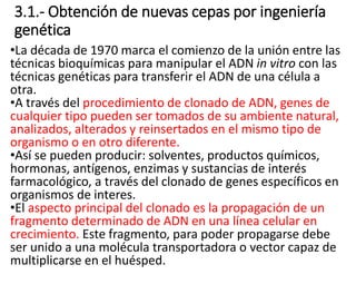 3.1.- Obtención de nuevas cepas por ingeniería
genética
•La década de 1970 marca el comienzo de la unión entre las
técnicas bioquímicas para manipular el ADN in vitro con las
técnicas genéticas para transferir el ADN de una célula a
otra.
•A través del procedimiento de clonado de ADN, genes de
cualquier tipo pueden ser tomados de su ambiente natural,
analizados, alterados y reinsertados en el mismo tipo de
organismo o en otro diferente.
•Así se pueden producir: solventes, productos químicos,
hormonas, antígenos, enzimas y sustancias de interés
farmacológico, a través del clonado de genes específicos en
organismos de interes.
•El aspecto principal del clonado es la propagación de un
fragmento determinado de ADN en una línea celular en
crecimiento. Este fragmento, para poder propagarse debe
ser unido a una molécula transportadora o vector capaz de
multiplicarse en el huésped.
 