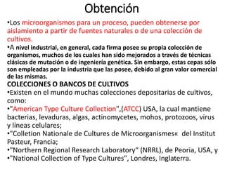 Obtención
•Los microorganismos para un proceso, pueden obtenerse por
aislamiento a partir de fuentes naturales o de una colección de
cultivos.
•A nivel industrial, en general, cada firma posee su propia colección de
organismos, muchos de los cuales han sido mejorados a través de técnicas
clásicas de mutación o de ingeniería genética. Sin embargo, estas cepas sólo
son empleadas por la industria que las posee, debido al gran valor comercial
de las mismas.
COLECCIONES O BANCOS DE CULTIVOS
•Existen en el mundo muchas colecciones depositarias de cultivos,
como:
•"American Type Culture Collection",(ATCC) USA, la cual mantiene
bacterias, levaduras, algas, actinomycetes, mohos, protozoos, virus
y líneas celulares;
•"Colletion Nationale de Cultures de Microorganismes« del Institut
Pasteur, Francia;
•"Northern Regional Research Laboratory“ (NRRL), de Peoria, USA, y
•"National Collection of Type Cultures", Londres, Inglaterra.
 