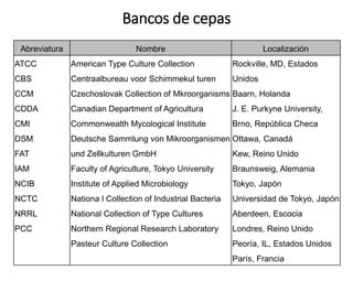 Bancos de cepas
Abreviatura Nombre Localización
ATCC
CBS
CCM
CDDA
CMI
DSM
FAT
IAM
NCIB
NCTC
NRRL
PCC
American Type Culture Collection
Centraalbureau voor Schimmekul turen
Czechoslovak Collection of Mkroorganisms
Canadian Department of Agricultura
Commonwealth Mycological Institute
Deutsche Sammlung von Mikroorganismen
und Zellkulturen GmbH
Faculty of Agriculture, Tokyo University
Institute of Applied Microbiology
Nationa l Collection of Industrial Bacteria
National Collection of Type Cultures
Northern Regional Research Laboratory
Pasteur Culture Collection
Rockville, MD, Estados
Unidos
Baarn, Holanda
J. E. Purkyne University,
Brno, República Checa
Ottawa, Canadá
Kew, Reino Unido
Braunsweig, Alemania
Tokyo, Japón
Universidad de Tokyo, Japón
Aberdeen, Escocia
Londres, Reino Unido
Peoría, IL, Estados Unidos
París, Francia
 
