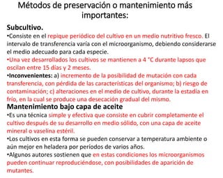 Métodos de preservación o mantenimiento más
importantes:
Subcultivo.
•Consiste en el repique periódico del cultivo en un medio nutritivo fresco. El
intervalo de transferencia varía con el microorganismo, debiendo considerarse
el medio adecuado para cada especie.
•Una vez desarrollados los cultivos se mantienen a 4 °C durante lapsos que
oscilan entre 15 días y 2 meses.
•Inconvenientes: a) incremento de la posibilidad de mutación con cada
transferencia, con pérdida de las características del organismo; b) riesgo de
contaminación; c) alteraciones en el medio de cultivo, durante la estadía en
frío, en la cual se produce una desecación gradual del mismo.
Mantenimiento bajo capa de aceite
•Es una técnica simple y efectiva que consiste en cubrir completamente el
cultivo después de su desarrollo en medio sólido, con una capa de aceite
mineral o vaselina estéril.
•Los cultivos en esta forma se pueden conservar a temperatura ambiente o
aún mejor en heladera por períodos de varios años.
•Algunos autores sostienen que en estas condiciones los microorganismos
pueden continuar reproduciéndose, con posibilidades de aparición de
mutantes.
 