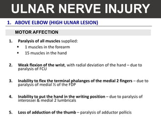 1. ABOVE ELBOW (HIGH ULNAR LESION)
ULNAR NERVE INJURY
1. Paralysis of all muscles supplied:
 1 muscles in the forearm
 15 muscles in the hand
2. Weak flexion of the wrist, with radial deviation of the hand – due to
paralysis of FCU
3. Inability to flex the terminal phalanges of the medial 2 fingers – due to
paralysis of medial ½ of the FDP
4. Inability to put the hand in the writing position – due to paralysis of
interossei & medial 2 lumbricals
5. Loss of adduction of the thumb – paralysis of adductor pollicis
MOTOR AFFECTION
 