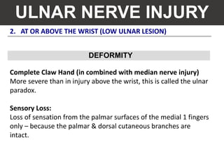 2. AT OR ABOVE THE WRIST (LOW ULNAR LESION)
ULNAR NERVE INJURY
Complete Claw Hand (in combined with median nerve injury)
More severe than in injury above the wrist, this is called the ulnar
paradox.
Sensory Loss:
Loss of sensation from the palmar surfaces of the medial 1 fingers
only – because the palmar & dorsal cutaneous branches are
intact.
DEFORMITY
 