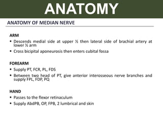ANATOMY
ANATOMY OF MEDIAN NERVE
ARM
 Descends medial side at upper ½ then lateral side of brachial artery at
lower ½ arm
 Cross bicipital aponeurosis then enters cubital fossa
FOREARM
 Supply PT, FCR, PL, FDS
 Between two head of PT, give anterior interosseous nerve branches and
supply FPL, FDP, PQ
HAND
 Passes to the flexor retinaculum
 Supply AbdPB, OP, FPB, 2 lumbrical and skin
 