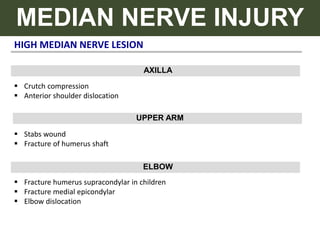 HIGH MEDIAN NERVE LESION
MEDIAN NERVE INJURY
AXILLA
 Crutch compression
 Anterior shoulder dislocation
 Stabs wound
 Fracture of humerus shaft
 Fracture humerus supracondylar in children
 Fracture medial epicondylar
 Elbow dislocation
UPPER ARM
ELBOW
 