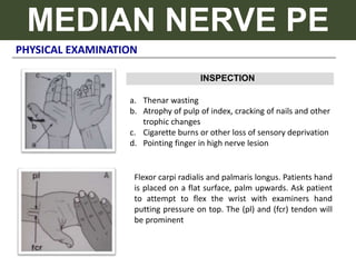PHYSICAL EXAMINATION
MEDIAN NERVE PE
a. Thenar wasting
b. Atrophy of pulp of index, cracking of nails and other
trophic changes
c. Cigarette burns or other loss of sensory deprivation
d. Pointing finger in high nerve lesion
Flexor carpi radialis and palmaris longus. Patients hand
is placed on a flat surface, palm upwards. Ask patient
to attempt to flex the wrist with examiners hand
putting pressure on top. The (pl) and (fcr) tendon will
be prominent
INSPECTION
 