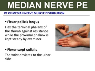 PE OF MEDIAN NERVE MUSCLE DISTRIBUTION
MEDIAN NERVE PE
 Flexor pollicis longus
Flex the terminal phalanx of
the thumb against resistance
while the proximal phalanx is
kept steady by examiner
 Flexor carpi radialis
The wrist deviates to the ulnar
side
 