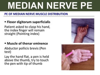PE OF MEDIAN NERVE MUSCLE DISTRIBUTION
MEDIAN NERVE PE
 Flexor digitorum superficialis
Patient asked to clasp his hand,
the index finger will remain
straight (Pointing index)
 Muscle of thenar eminence
Abductor pollicis brevis (Pen
test)
Lay the hand flat, a pen is held
above the thumb, try to touch
the pen with tip of thumb
 