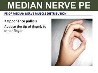 PE OF MEDIAN NERVE MUSCLE DISTRIBUTION
MEDIAN NERVE PE
 Opponence pollicis
Appose the tip of thumb to
other finger
 