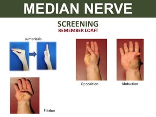 SCREENING
MEDIAN NERVE
REMEMBER LOAF!
Lumbricals
Opposition Abduction
Flexion
 