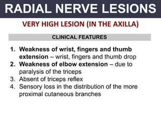 RADIAL NERVE LESIONS
VERY HIGH LESION (IN THE AXILLA)
1. Weakness of wrist, fingers and thumb
extension – wrist, fingers and thumb drop
2. Weakness of elbow extension – due to
paralysis of the triceps
3. Absent of triceps reflex
4. Sensory loss in the distribution of the more
proximal cutaneous branches
CLINICAL FEATURES
 