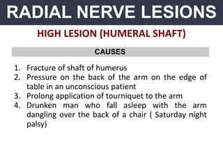 RADIAL NERVE LESIONS
HIGH LESION (HUMERAL SHAFT)
CAUSES
1. Fracture of shaft of humerus
2. Pressure on the back of the arm on the edge of
table in an unconscious patient
3. Prolong application of tourniquet to the arm
4. Drunken man who fall asleep with the arm
dangling over the back of a chair ( Saturday night
palsy)
 