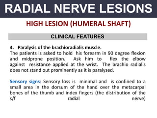 RADIAL NERVE LESIONS
HIGH LESION (HUMERAL SHAFT)
CLINICAL FEATURES
4. Paralysis of the brachioradialis muscle.
The patients is asked to hold his forearm in 90 degree flexion
and midprone position. Ask him to flex the elbow
against resistance applied at the wrist. The brachio radialis
does not stand out prominently as it is paralysed.
Sensory signs: Sensory loss is minimal and is confined to a
small area in the dorsum of the hand over the metacarpal
bones of the thumb and index fingers (the distribution of the
s/f radial nerve)
 