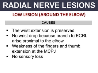 RADIAL NERVE LESIONS
LOW LESION (AROUND THE ELBOW)
CAUSES
 The wrist extension is preserved
 No wrist drop because branch to ECRL
arise proximal to the elbow.
 Weakness of the fingers and thumb
extension at the MCPJ
 No sensory loss
 
