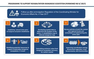 Policy and implementation of mangrove strategic management plan