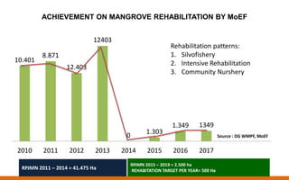 Policy and implementation of mangrove strategic management plan