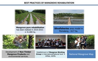 Policy and implementation of mangrove strategic management plan