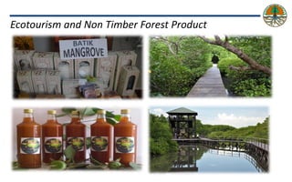 Policy and implementation of mangrove strategic management plan