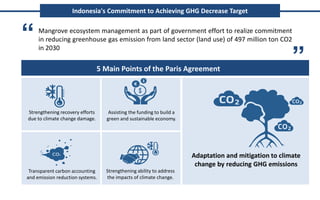 Policy and implementation of mangrove strategic management plan