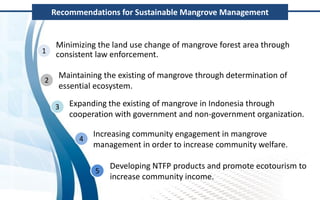Policy and implementation of mangrove strategic management plan