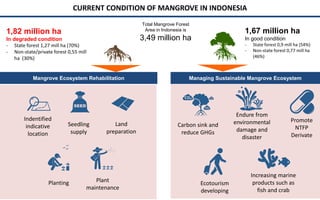 Policy and implementation of mangrove strategic management plan