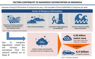 Policy and implementation of mangrove strategic management plan