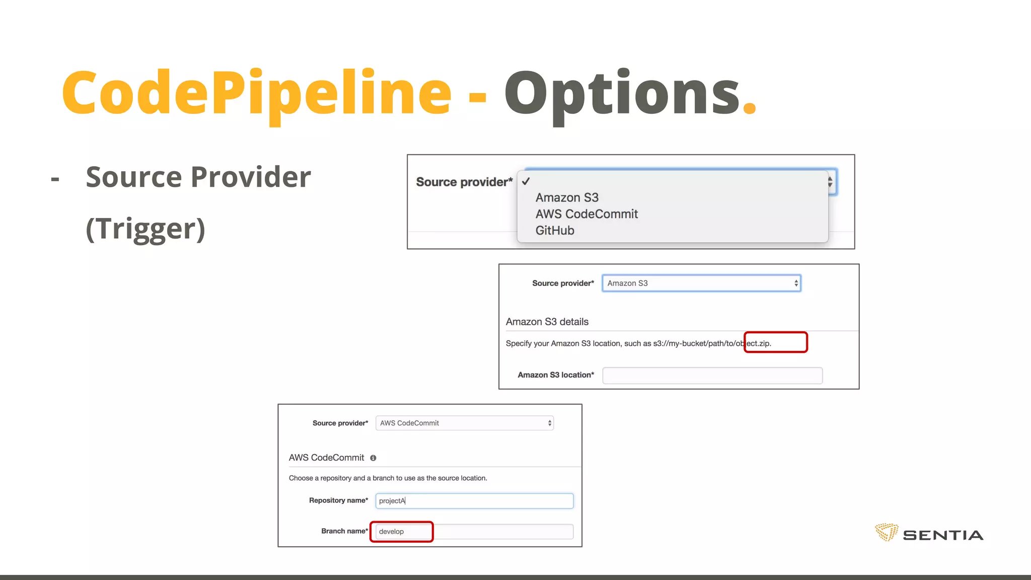 CodePipeline - Options. - Source Provider (Trigger) 
