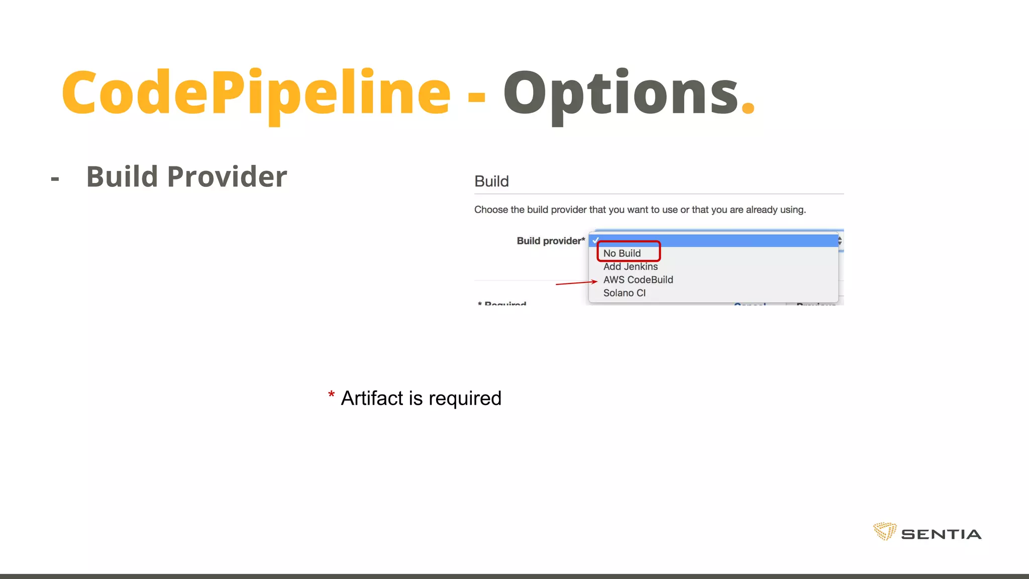 CodePipeline - Options. - Build Provider * Artifact is required 
