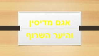 ‫אגם‬‫מדיסין‬
‫השרוף‬ ‫והיער‬
 