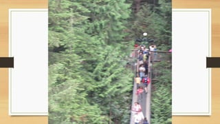 אלסקה ורוקיס 0815 