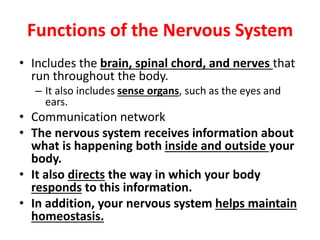 Functions of the Nervous System
• Includes the brain, spinal chord, and nerves that
run throughout the body.
– It also includes sense organs, such as the eyes and
ears.
• Communication network
• The nervous system receives information about
what is happening both inside and outside your
body.
• It also directs the way in which your body
responds to this information.
• In addition, your nervous system helps maintain
homeostasis.
 