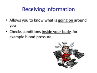 Receiving Information
• Allows you to know what is going on around
you
• Checks conditions inside your body, for
example blood pressure
 