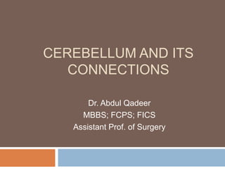 CEREBELLUM AND ITS
CONNECTIONS
Dr. Abdul Qadeer
MBBS; FCPS; FICS
Assistant Prof. of Surgery
 