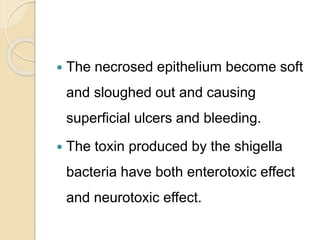  The necrosed epithelium become soft
and sloughed out and causing
superficial ulcers and bleeding.
 The toxin produced by the shigella
bacteria have both enterotoxic effect
and neurotoxic effect.
 