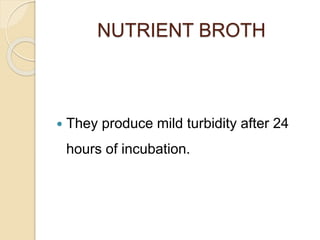 NUTRIENT BROTH
 They produce mild turbidity after 24
hours of incubation.
 