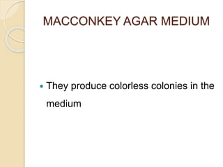 MACCONKEY AGAR MEDIUM
 They produce colorless colonies in the
medium
 