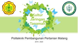 Politeknik Pembangunan Pertanian Malang
2019 - 2020
Kultur
Jaringan
Tanaman
 