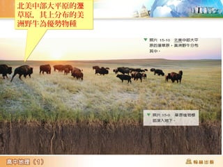 北美中部大平原的溼
草原，其上分布的美
洲野牛為優勢物種
北美中部大平原的溼
草原，其上分布的美
洲野牛為優勢物種
 