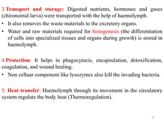 3.Transport and storage: Digested nutrients, hormones and gases
(chironomid larva) were transported with the help of haemolymph.
• It also removes the waste materials to the excretory organs.
• Water and raw materials required for histogenesis (the differentiation
of cells into specialized tissues and organs during growth) is stored in
haemolymph.
4.Protection: It helps in phagocytocis, encapsulation, detoxification,
coagulation, and wound healing.
• Non celluar component like lysozymes also kill the invading bacteria.
5. Heat transfer: Haemolymph through its movement in the circulatory
system regulate the body heat (Thermoregulation).
19
 
