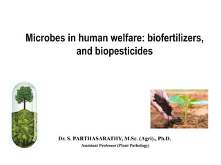 Microbes in human welfare: biofertilizers,
and biopesticides
Dr. S. PARTHASARATHY, M.Sc. (Agri)., Ph.D.
Assistant Professor (Plant Pathology)
 
