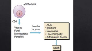 Immunodeficiency, Hypersensitivity and Autoimmune Diseases | PPTX