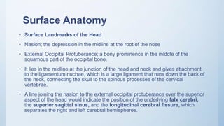 Naison Inion Radiographic Anatomy of the Head and Neck | PPTX