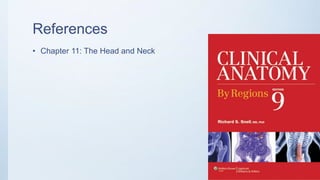 Radiographic Anatomy of the Head and Neck | PPTX