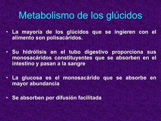 Metabolismo de los glúcidos
• La mayoría de los glúcidos que se ingieren con el
alimento son polisacáridos.
• Su hidrólisis en el tubo digestivo proporciona sus
monosacáridos constituyentes que se absorben en el
intestino y pasan a la sangre
• La glucosa es el monosacárido que se absorbe en
mayor abundancia
• Se absorben por difusión facilitada
 