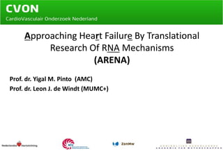 Approaching Heart Failure By Translational Research Of RNA Mechanisms (ARENA) Prof. dr. Yigal M. Pinto  (AMC) Prof. dr. Leon J. de Windt (MUMC+) 