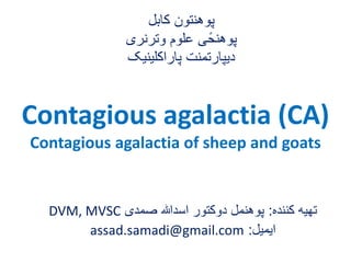 Contagious agalactia (CA)
Contagious agalactia of sheep and goats
‫کننده‬ ‫تهیه‬:‫صمدی‬ ‫اسدهللا‬ ‫دوکتور‬ ‫پوهنمل‬DVM, MVSC
‫ایمیل‬:assad.samadi@gmail.com
‫کابل‬ ‫پوهنتون‬
‫وترنری‬ ‫علوم‬ ‫ی‬ً‫پوهنح‬
‫پاراکلینی‬ ‫دیپارتمنت‬‫ک‬
 