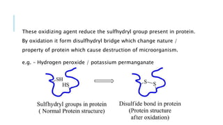 These oxidizing agent reduce the sulfhydryl group present in protein.
By oxidation it form disulfhydryl bridge which change nature /
property of protein which cause destruction of microorganism.
e.g. – Hydrogen peroxide / potassium permanganate
 
