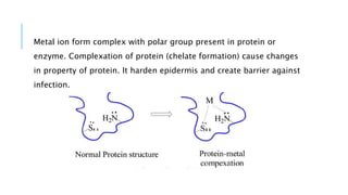 Metal ion form complex with polar group present in protein or
enzyme. Complexation of protein (chelate formation) cause changes
in property of protein. It harden epidermis and create barrier against
infection.
 