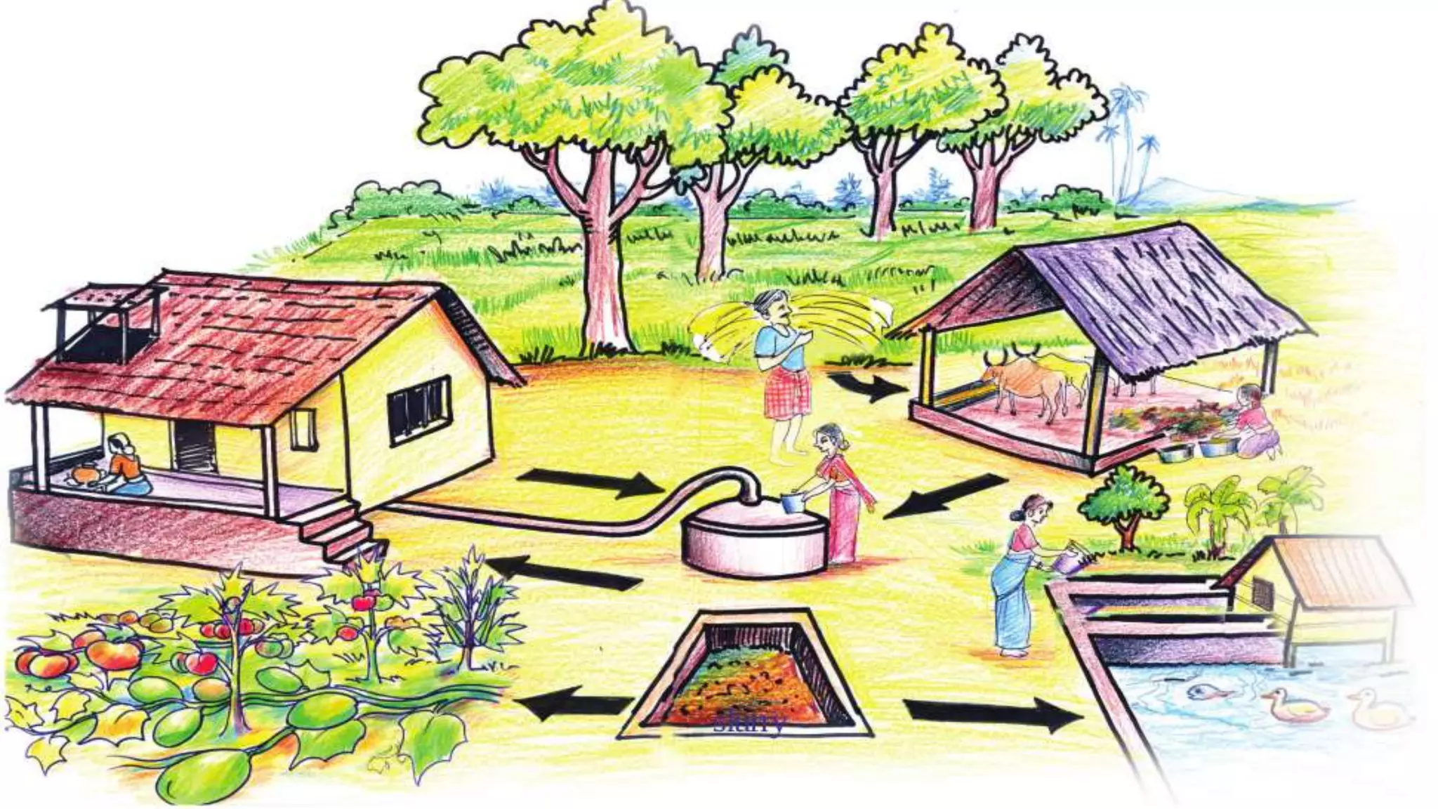 15-integrated-farming-ppt