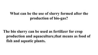 What can be the use of slurry formed after the
production of bio-gas?
The bio slurry can be used as fertilizer for crop
production and aquaculture,that means as food of
fish and aquatic plants.