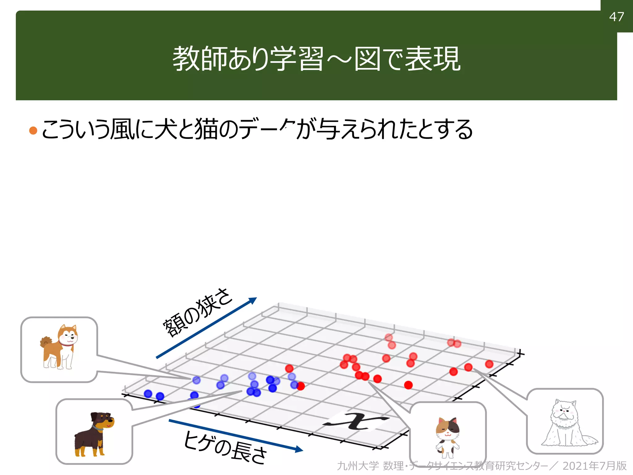 47
47
教師あり学習～図で表現
こういう風に犬と猫のデータが与えられたとする
九州大学 数理・データサイエンス教育研究センター／ 2021年7月版
 